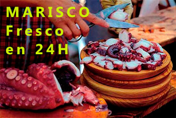 mariscos online mariscos en 24h