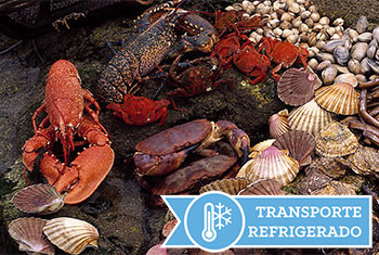 mariscos online transporte refrigerado