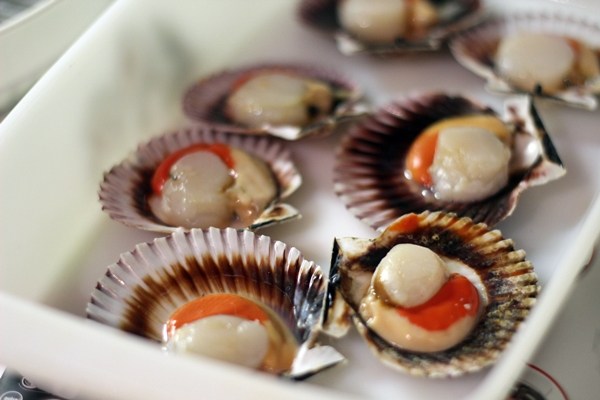 Mariscos.online Zamburinas