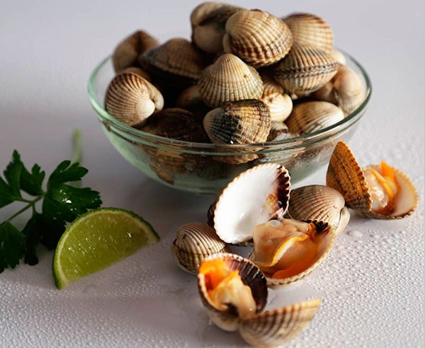 mariscos_online_berberechos-gallegos-24