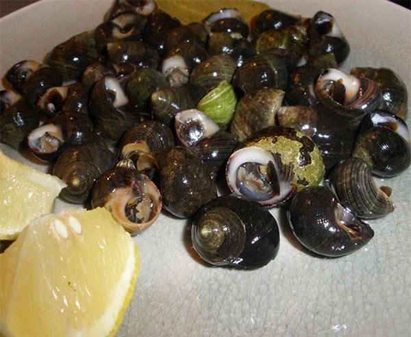 Mariscos.online Bigaros gallegos