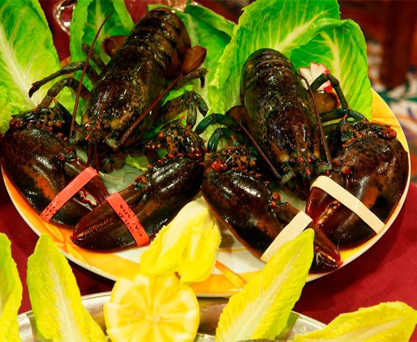 mariscos_online_bogavante-azul-gallego-2