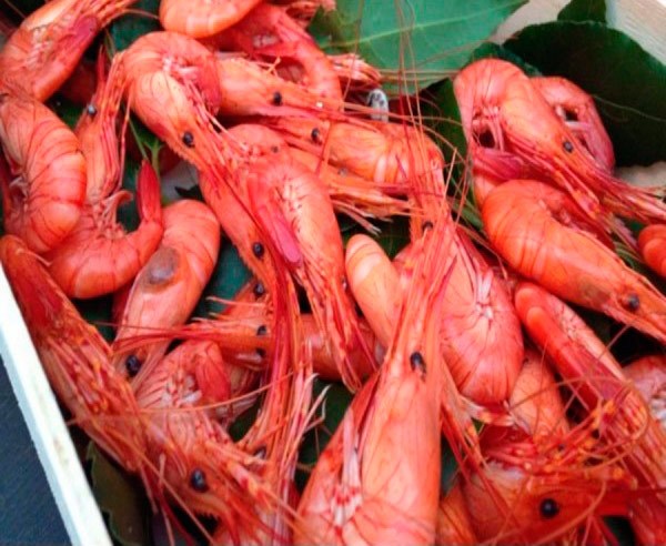 mariscos_online_camaron_ria-2