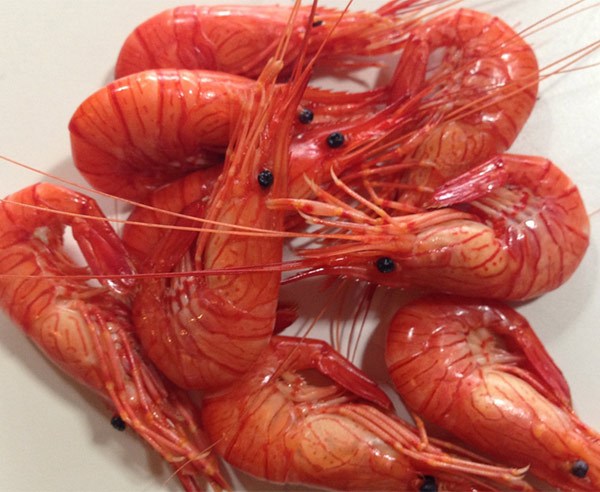 Mariscos.online Camaron de la Ria