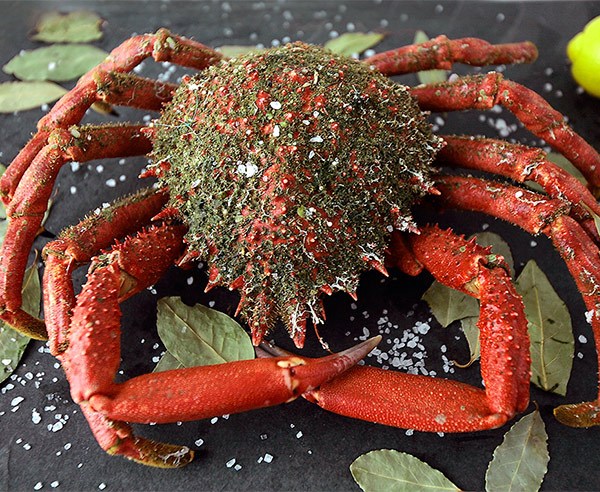 mariscos_online_centollo_ria-2