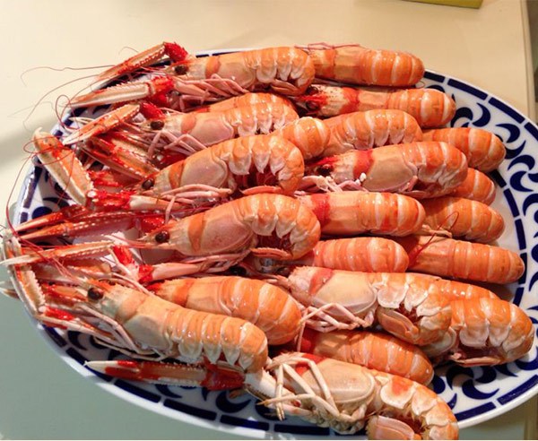 mariscos_online_cigalas-26