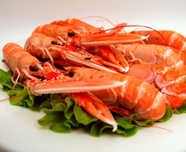 mariscos_online_cigalas8