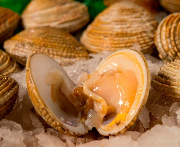 Mariscos.online  Escupiñas