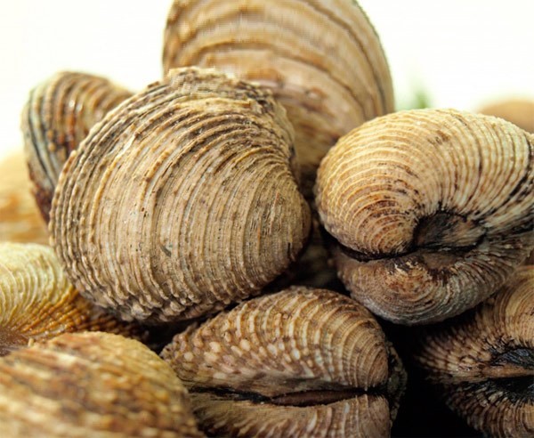 mariscos_online_escupina
