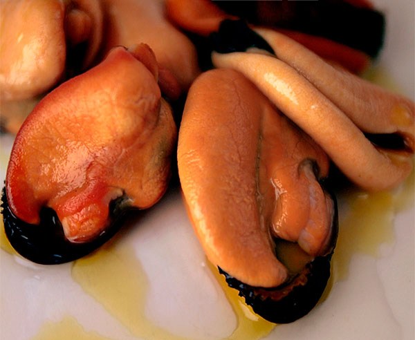 mariscos_online_mejillon-gallego-2