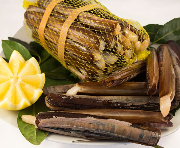 mariscos_online_navajas-2