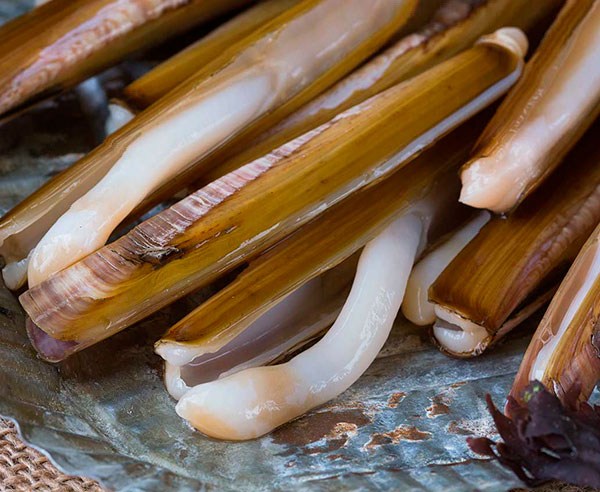 Mariscos.online Navajas Marisco Gallego