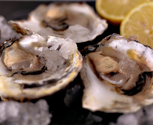 mariscos_online_ostras-2