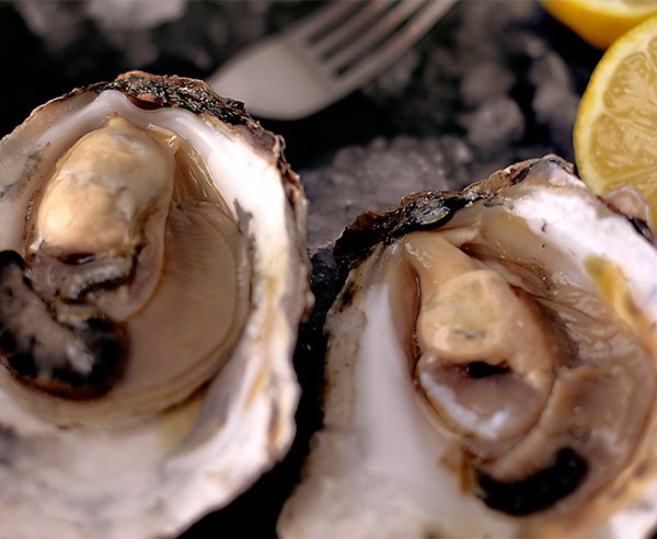 Mariscos.Online Ostras