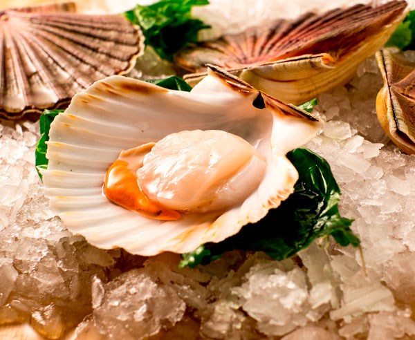 Mariscos.online Viera Gallega