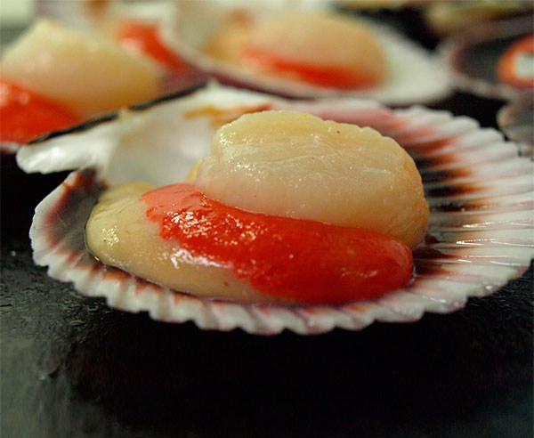 Mariscos.online Zamburinas
